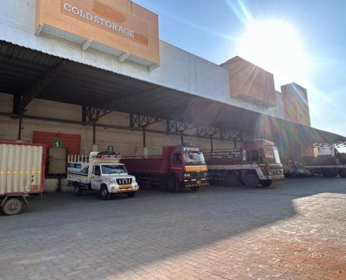 WhatsApp Image 2026-02-14 at 10.47.51 (1)