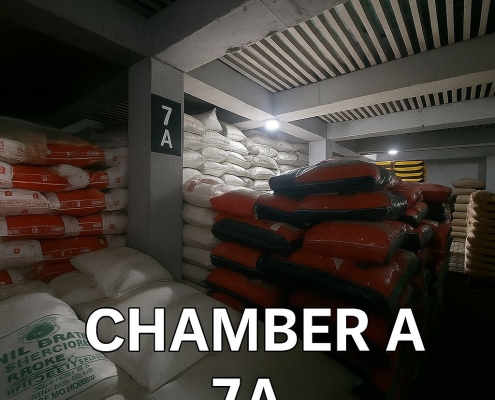 WhatsApp Image 2026-02-14 at 10.48.20